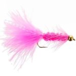 beadhead-woolly-bugger-pink